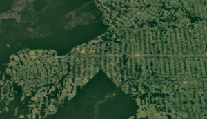 Desmatamento em Rondônia visto pelo satélite Landsat (Imagem: Google Earth)