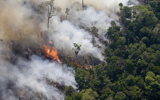 Taxa de mortalidade de árvores de florestas tropicais úmidas mostra sinais de aceleração nos últimos anos. Perda de folhas facilita as queimadas. (Foto: Daniel Beltra/Greenpeace) 