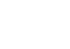 Instituto Centro de Vida