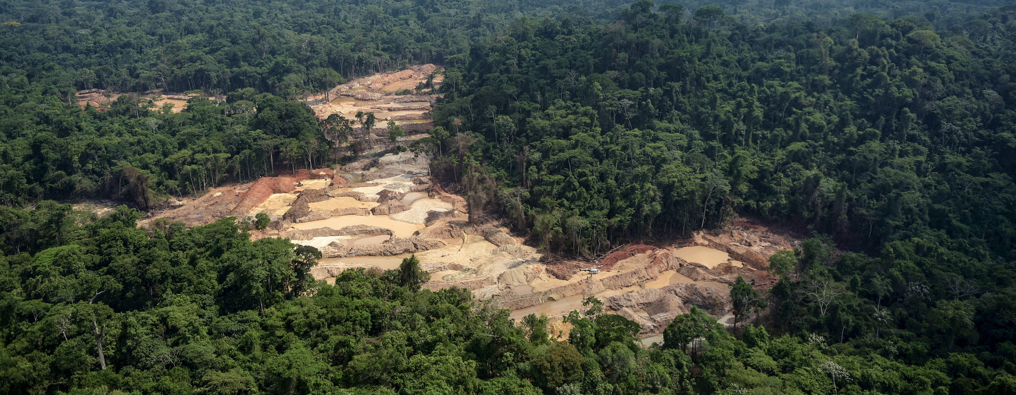 Quando a gente Magüta desaparecer, o mundo inteiro irá se acabar -  Amazônia Latitude