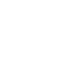 Associação Plant for the Planet Brasil