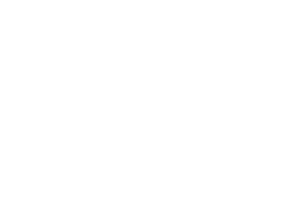 Instituto Talanoa