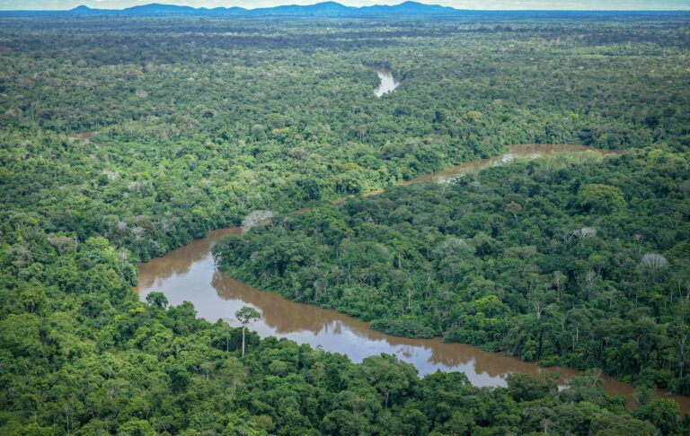 Observatório do ClimaAmazônia sufocada e o racha na ciência do clima - OC